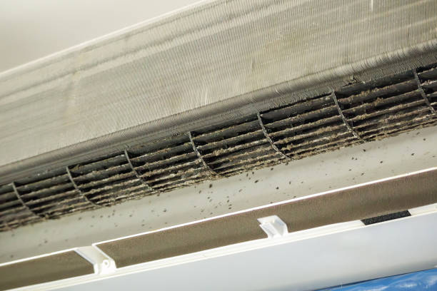 Best Duct Cleaning for Offices  in Hlcrest, IL